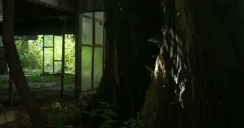Inside abandoned building Video stock 55875176