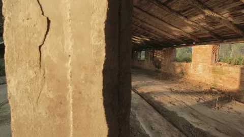 Inside the abandoned cowshed on the sunset Stock Footage 99481259