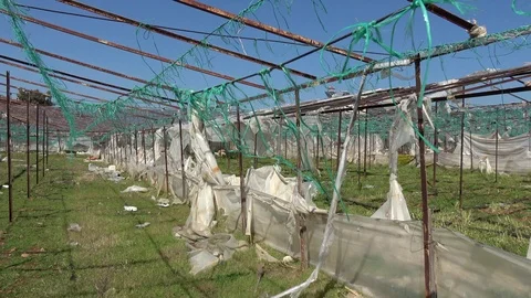 Inside of abandoned green house Stock Footage 125851549