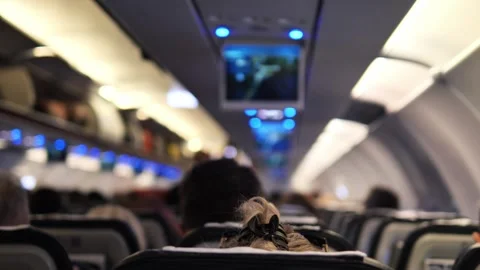 Inside aircraft cabin rows of seats align with luggage racks overhead and Vidéo 280305622