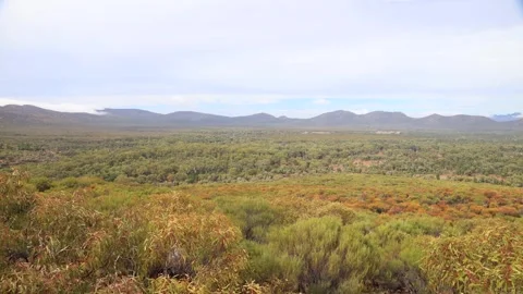 Inside ancient rock formation Wilpena Pound of Flinders ranges in Australia 4k. Stock Footage 270439590