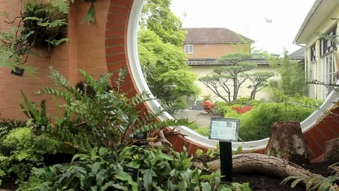 Inside and outside view of the botanical garden - pan right Stock Footage 104509922