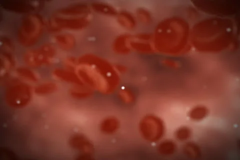 Inside artery (ntsc) Video stock 513907