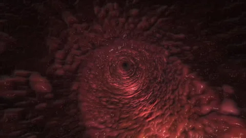 Inside Artery Pathways Carrying Oxygen Rich Blood Stock Footage 292778582