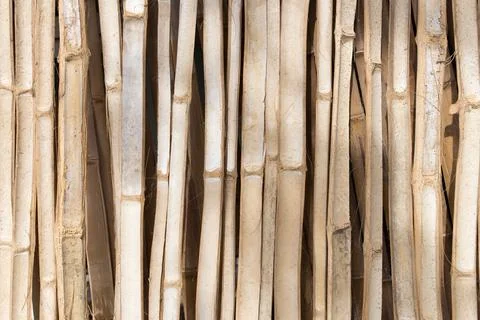 Inside bamboo texture wood background Stock Photos