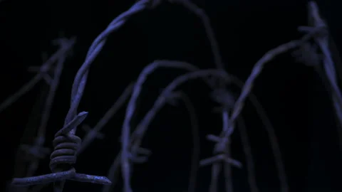 INSIDE BARBED WIRE. ECU, MACRO SLIDER SHOT IN 4K. 動画素材 147948590