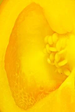 Inside of bellpepper Stock Photos
