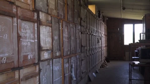 Inside big wooden beehive with active honey bees. Stock Footage 129346330