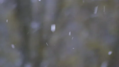 Inside the Blizzard and dancing Snowflakes 库存影片 151919922