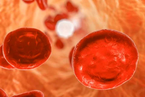 Inside blood vessel Stock Illustration