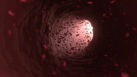 Inside Blood Vessels Stock Footage 101593918
