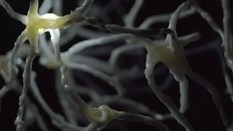 Inside the brain network neurons firing Stock Footage