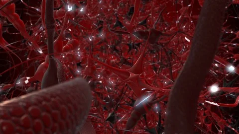 Inside The Brain neurotransmitter Neuron Network Firing electro-chemical signals Stock Footage 114258035