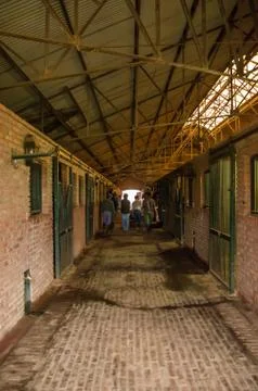 Inside a bricks stable with four people walking away Stock Photos