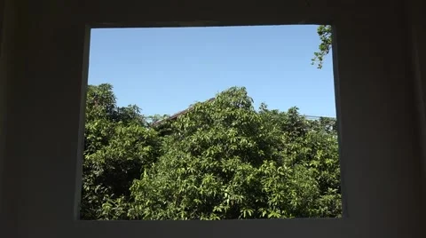 Inside  Buddhist temples in  thailand Vídeos de archivo 47267252