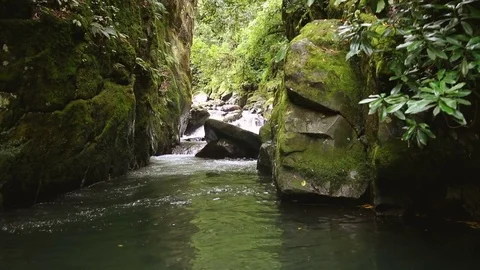 Inside canyon with mountain clean river and stones with moss Stock-Footage 80901252