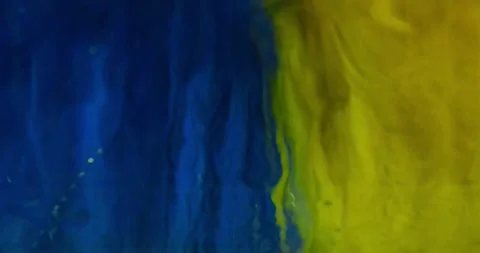 Inside car at carwash. Stock Footage 306043509