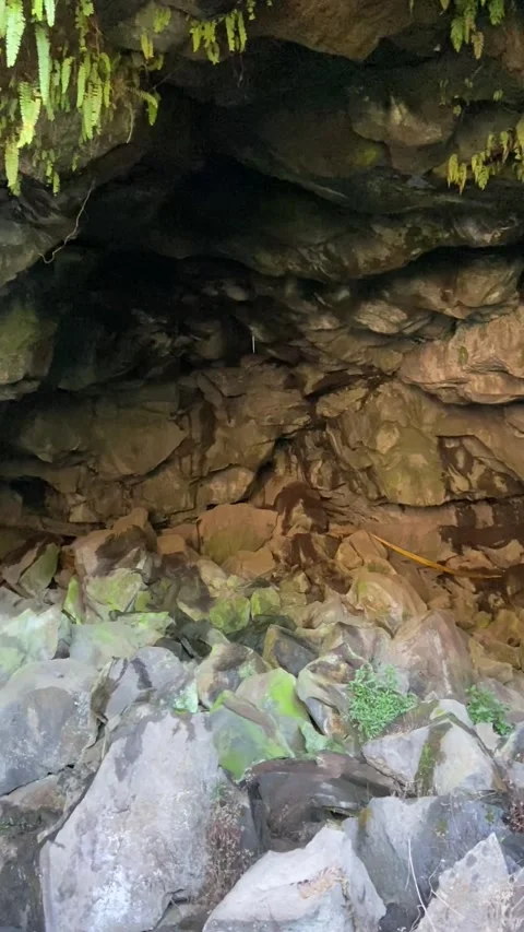 Inside a cave in Bali Vídeo Stock 342998285