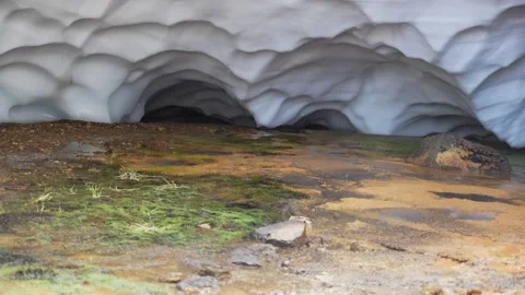 Inside of the cave covered with melting snow from glacier in Iceland Stock Footage 247575716