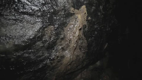 Inside the cave where the lizard lives Stockbeeldmateriaal 146456556