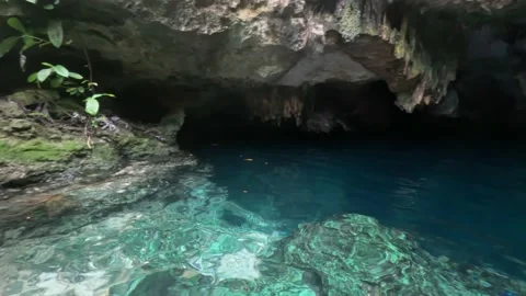 Inside a Cenote at Tulum, Riviera Maya 스톡 동영상 229738036
