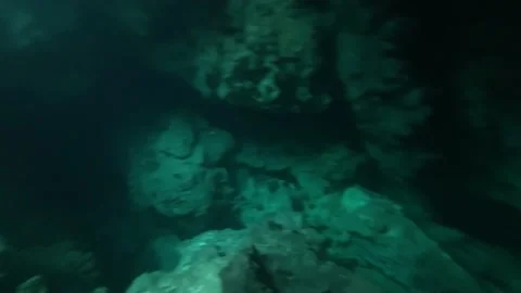 Inside a Cenote at Tulum, Riviera Maya Stock Footage 229738127