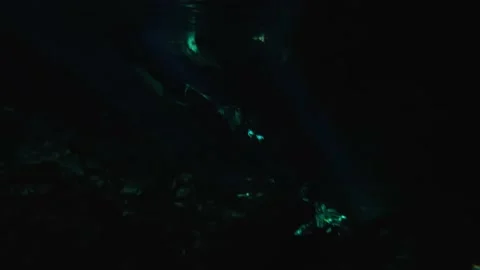 Inside a Cenote at Tulum, Riviera Maya Stock Footage 230341173