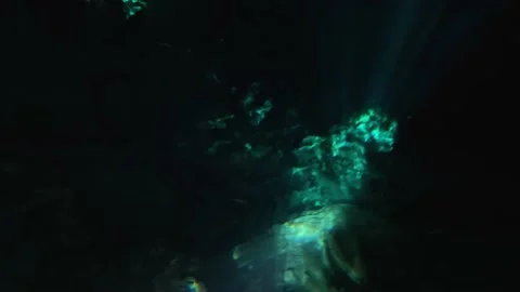 Inside a Cenote at Tulum, Riviera Maya Stock Footage 230341210