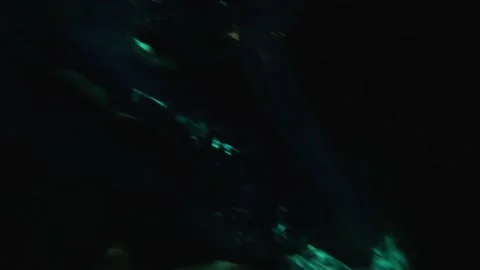 Inside a Cenote at Tulum, Riviera Maya Stock Footage 230341312