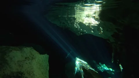 Inside a Cenote at Tulum, Riviera Maya Stock Footage 230341313