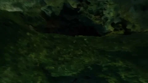 Inside a Cenote at Tulum, Riviera Maya Stock Footage 230341429