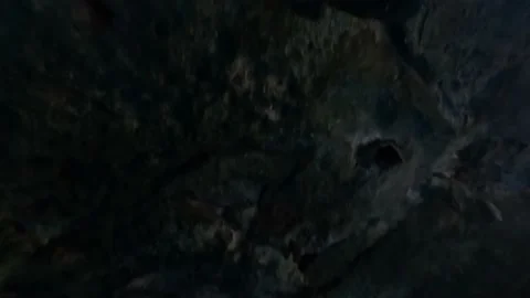 Inside a Cenote at Tulum, Riviera Maya Stock Footage 230341791