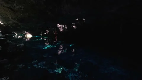 Inside a Cenote at Tulum, Riviera Maya Stock Footage 230341889