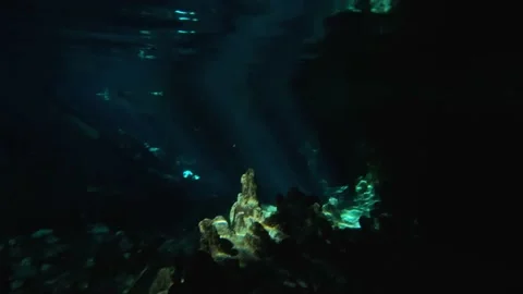 Inside a Cenote at Tulum, Riviera Maya Stock Footage 230341892
