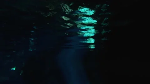 Inside a Cenote at Tulum, Riviera Maya Stock Footage 230341898