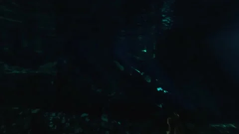 Inside a Cenote at Tulum, Riviera Maya Stock Footage 230342008
