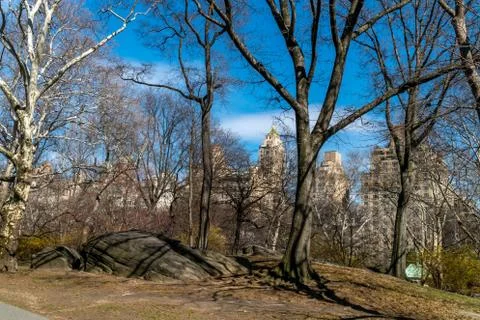 Inside Central Park Stock Photos