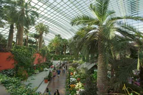 Inside  The Cloud Forest Dome Stock Photos
