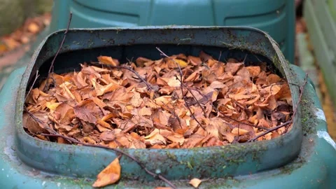 Inside a compost bin Stock Footage 321473563
