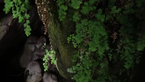 Inside Devils Bridge 2 Stock Footage 333134675