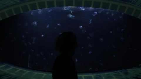 Inside a dimly lit, modern tourist submarine, a man gazes up at a large observat Stock Footage 291847182