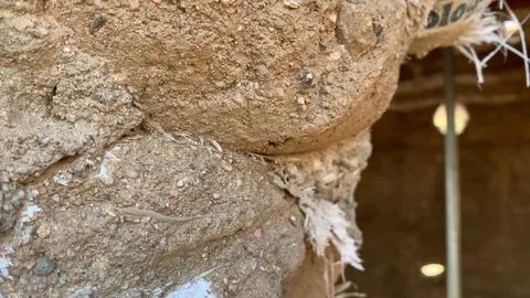 Inside a dome home Stock Footage 128416634