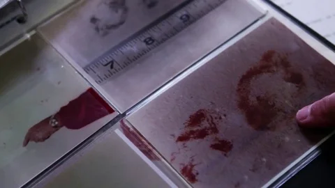 Inside the FBI's IAFIS fingerprint identification laboratory. Stock Footage 74958313