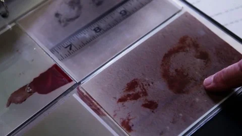 Inside the FBI's IAFIS fingerprint identification laboratory. Stock Footage 123371705