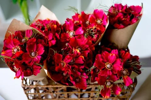 Inside a florist shop Stock Photos