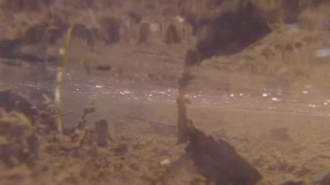 Inside the flowing water's river with a nice top reflection Stock Footage 105129278