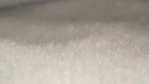 Inside Fuzzy Pouch Macro Probe Stock Footage 123846430