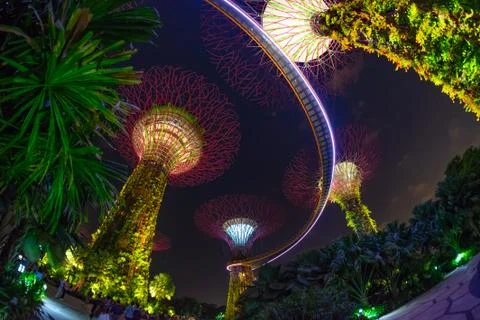 Inside Garden by the bay Stock Photos