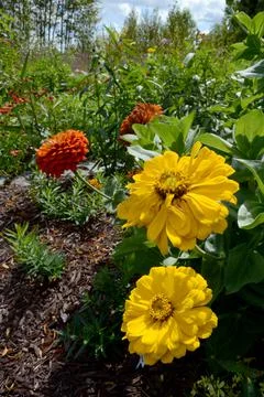 Inside the Garden Stock Photos