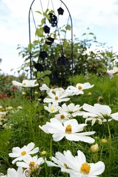 Inside the Garden Stock Photos